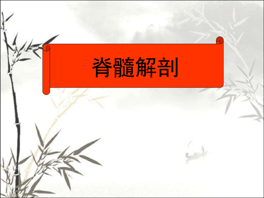 脊髓解剖课件.ppt_第1页