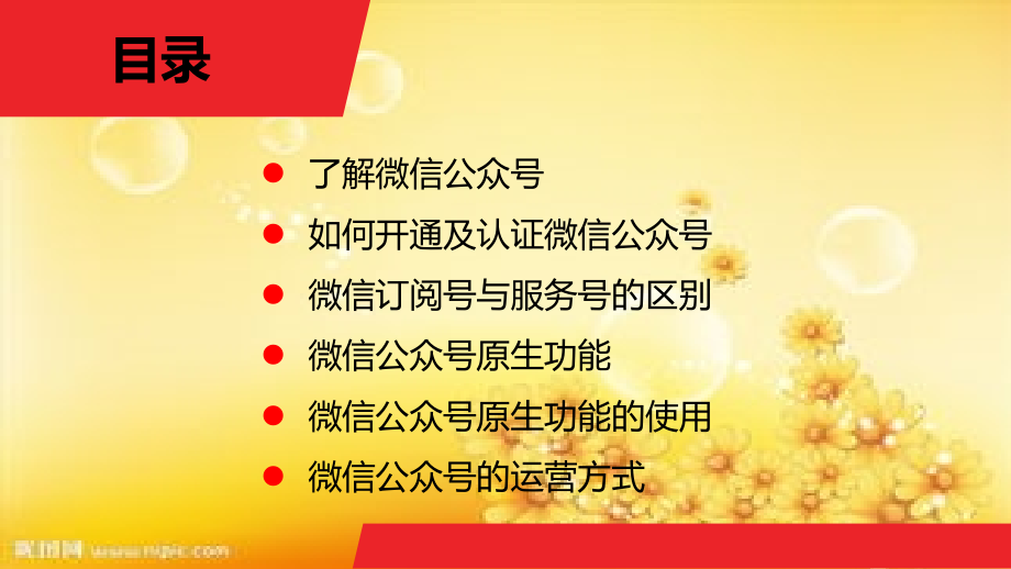 公众微信号培训方案.ppt_第2页