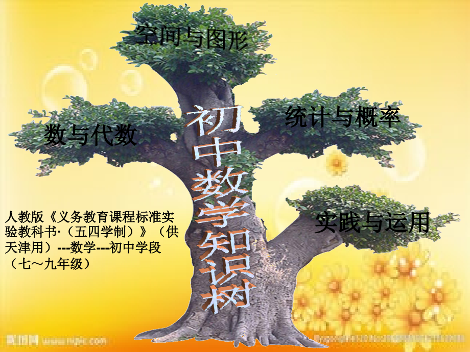 初中数学知识树图.ppt_第2页