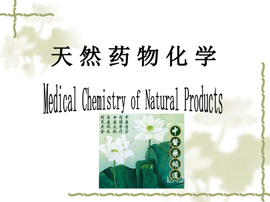 第一章天然药物化学绪论.ppt_第1页