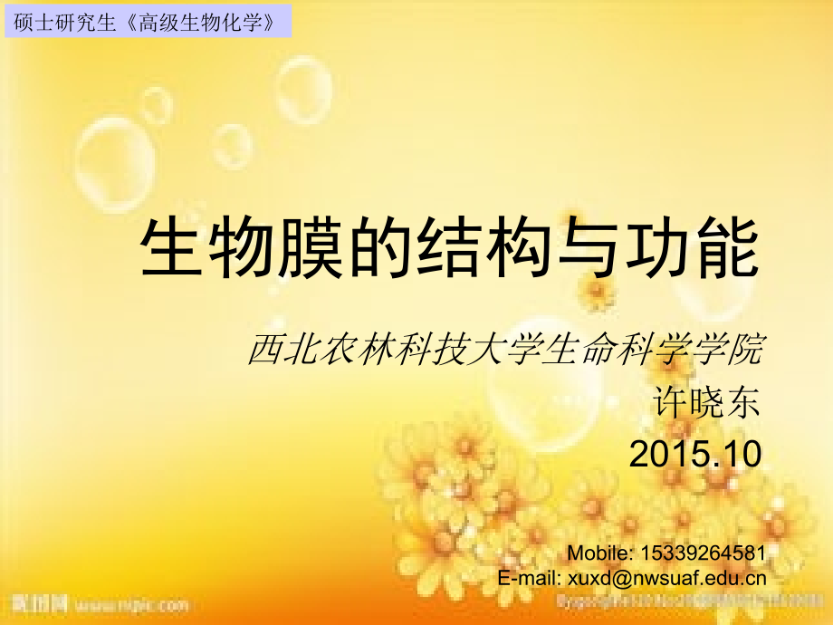 生物膜的结构与功能.ppt_第1页