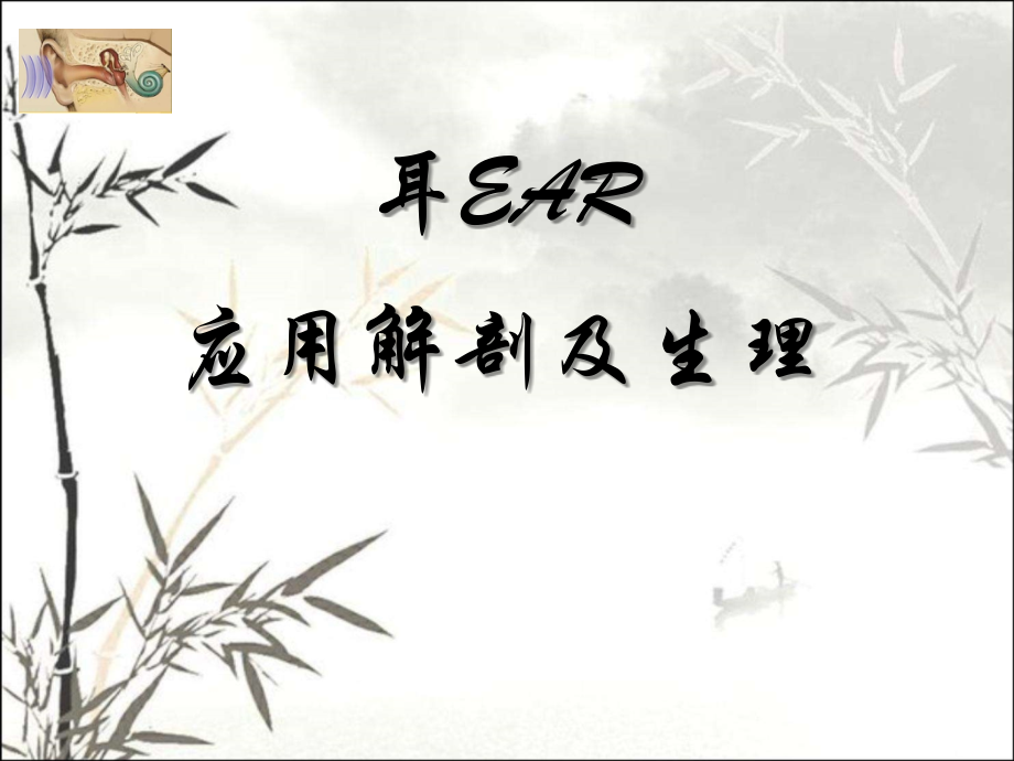 耳解剖及生理课件.ppt_第1页