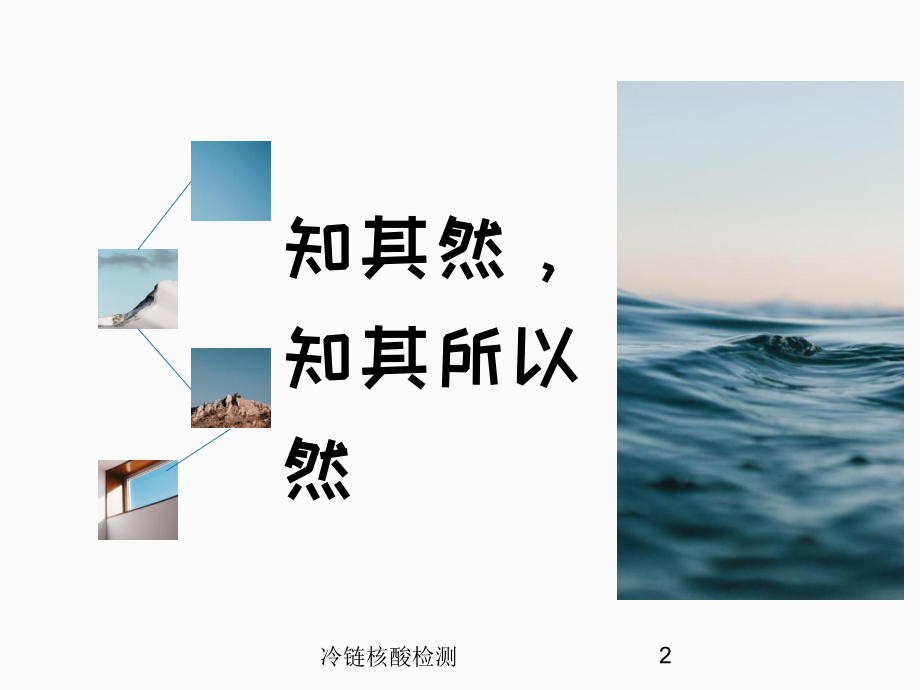 冷链核酸检测课件.ppt_第2页