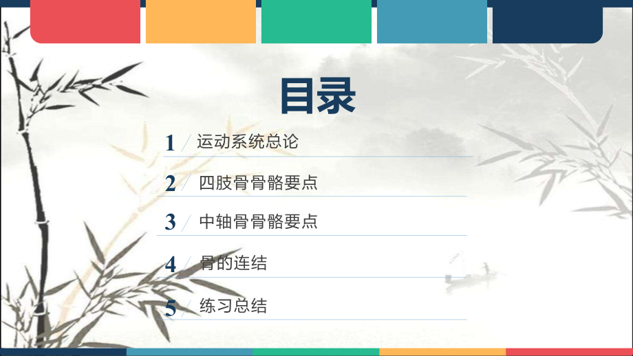 骨科解剖基础知识.pptx_第2页
