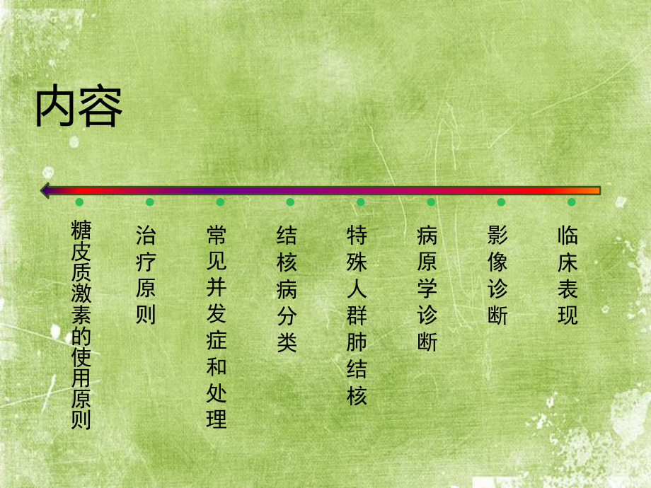 2017版肺结核诊治指南.ppt_第2页