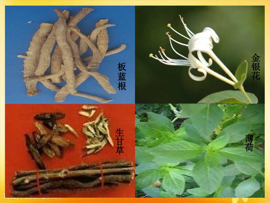神奇的中医.ppt_第2页