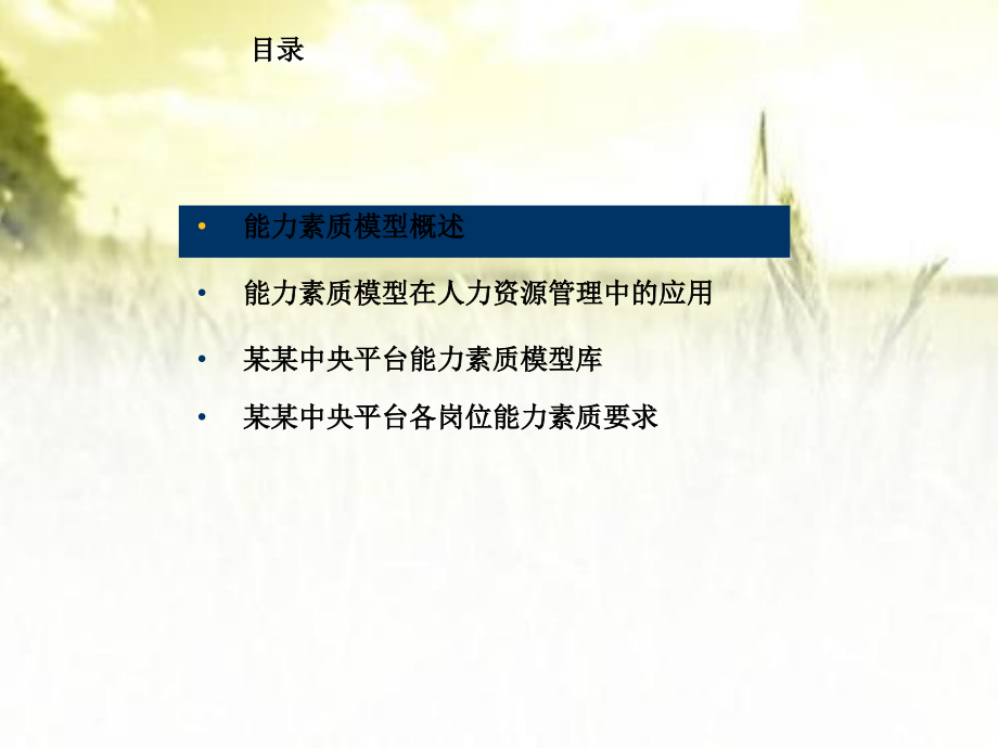能力素质模型资料.ppt_第2页
