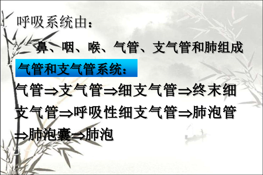 第七章呼吸系统疾病课件.ppt_第2页