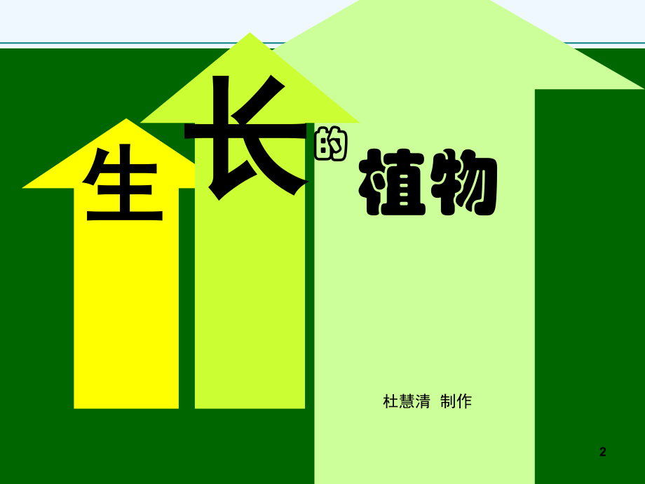 四年级上美术课件-生长的植物浙美版.ppt_第2页