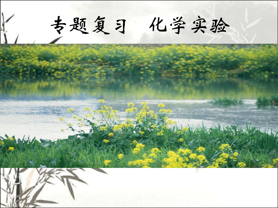 高考化学实验专题复习(整理)课件.ppt_第1页
