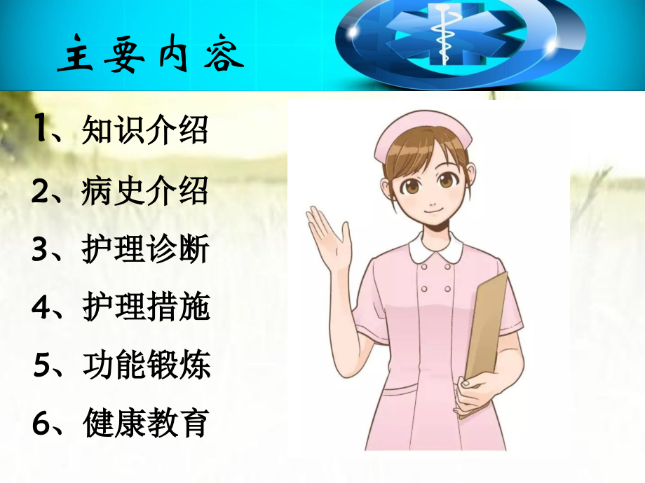 人工髋关节置换护理查房ppt.ppt_第2页