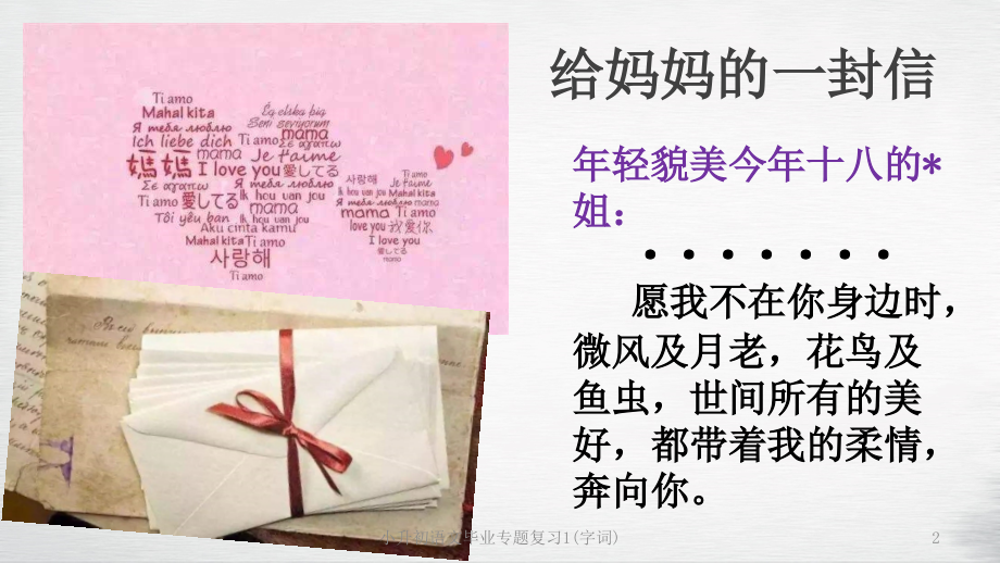 小升初语文毕业专题复习1(字词).ppt_第2页