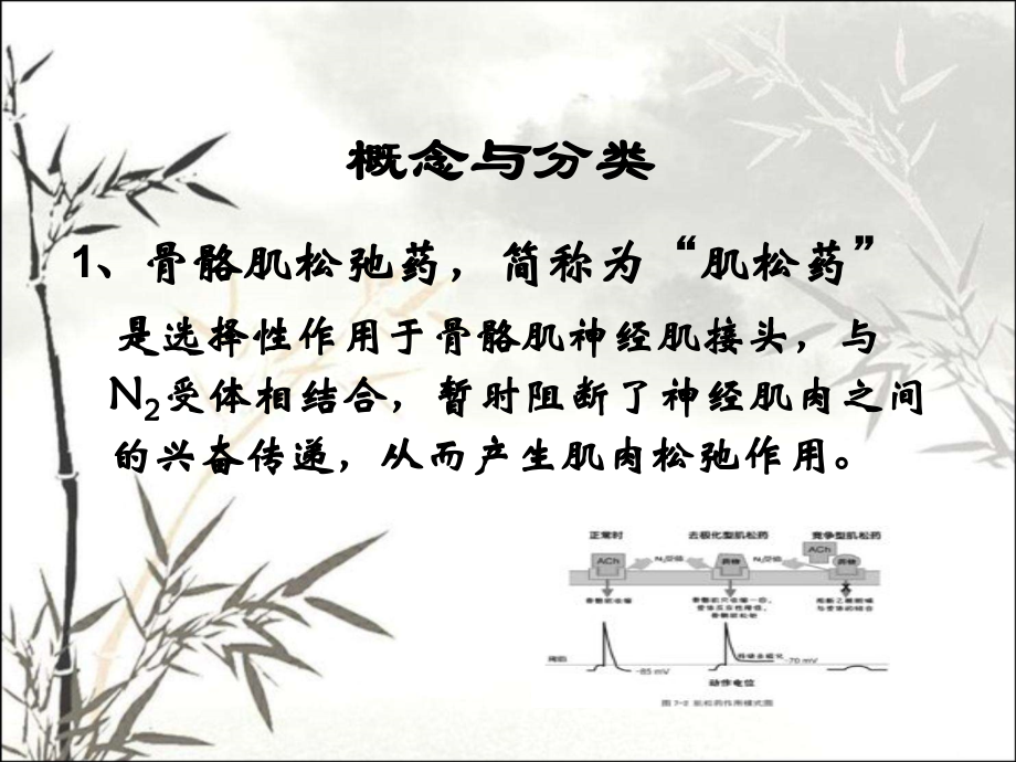 第七章肌松药课件.ppt_第2页