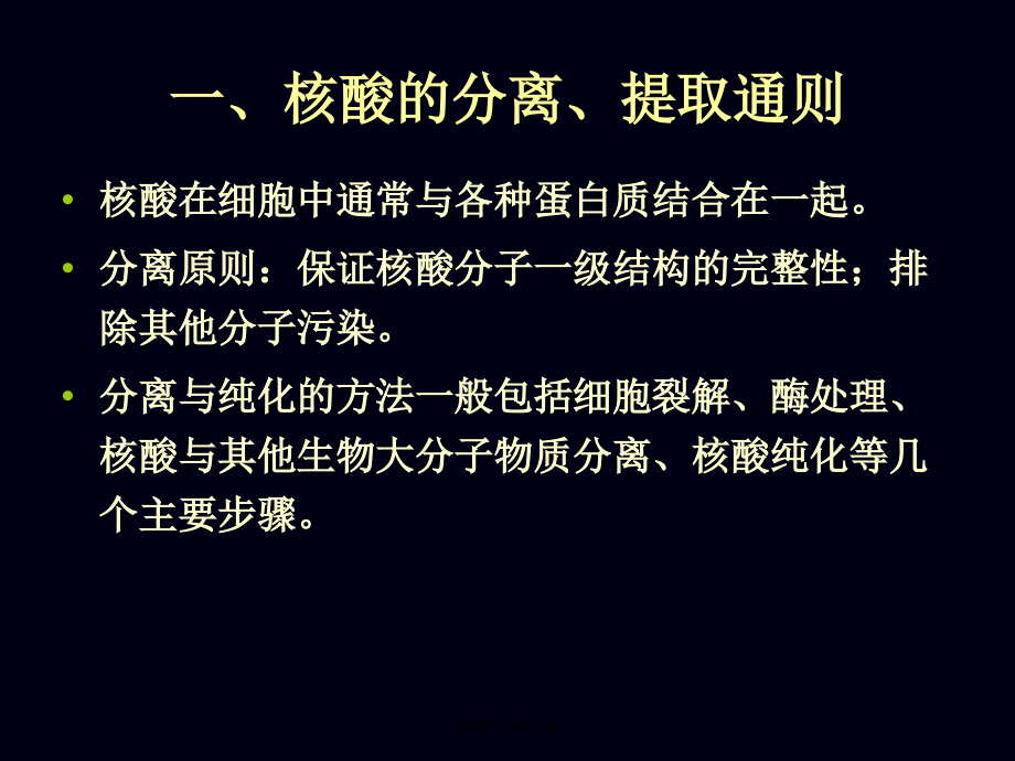 核酸分离检测.ppt_第1页