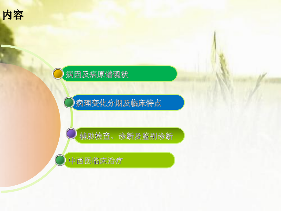儿童大叶性肺炎的诊断与中西医治疗.ppt_第2页