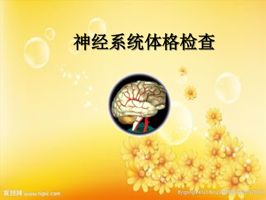 神经系统体格检查ppt.ppt_第1页