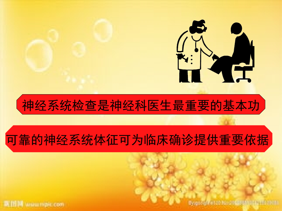 神经系统体格检查ppt.ppt_第2页