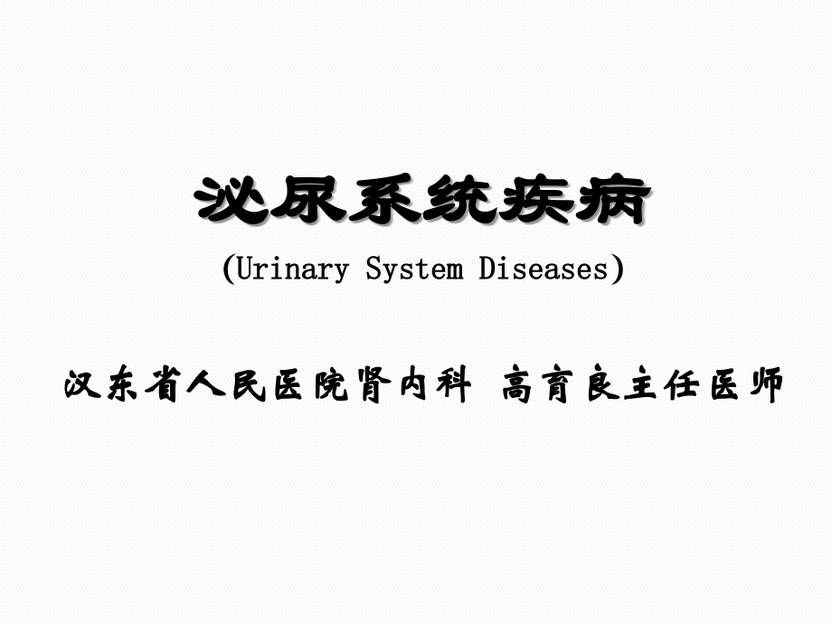 肾脏疾病概述课件.ppt_第1页