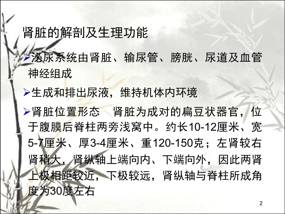 肾脏疾病概述课件.ppt_第2页