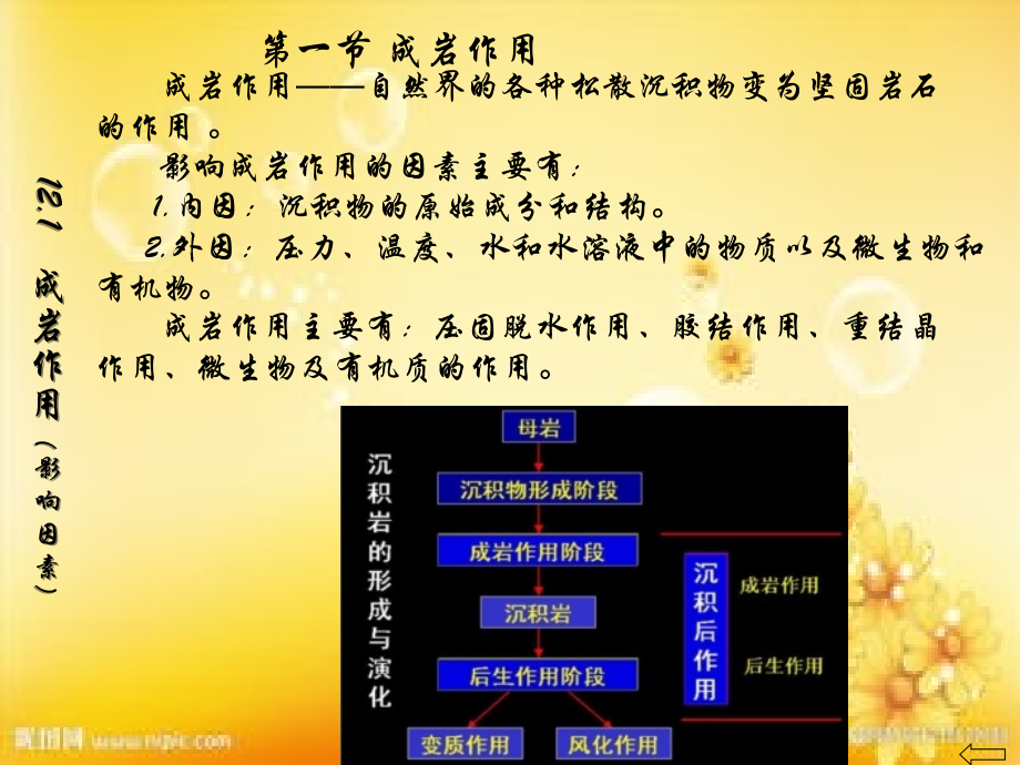 地质学基础课件.ppt_第2页
