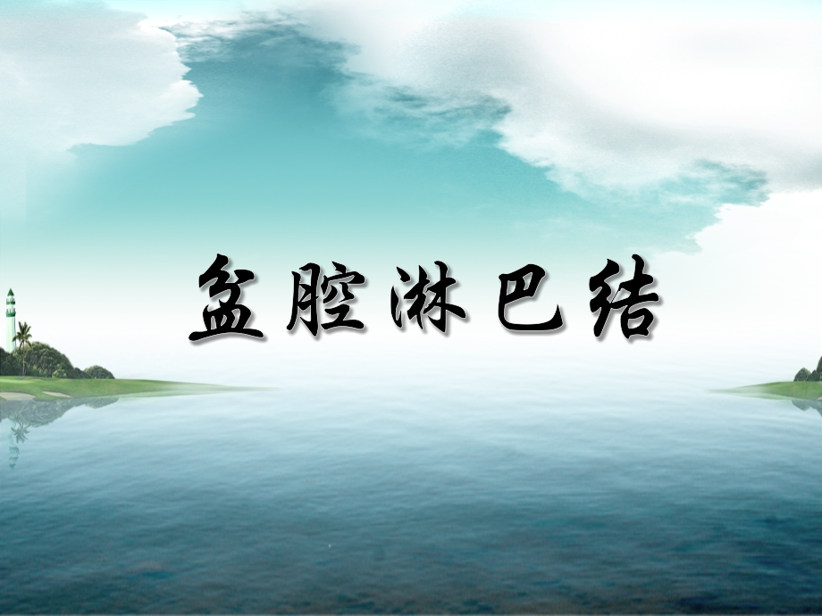 盆腔淋巴结.ppt_第2页