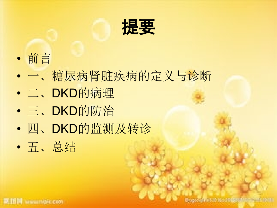 2019中国糖尿病肾脏疾病防治临床指南.ppt_第2页