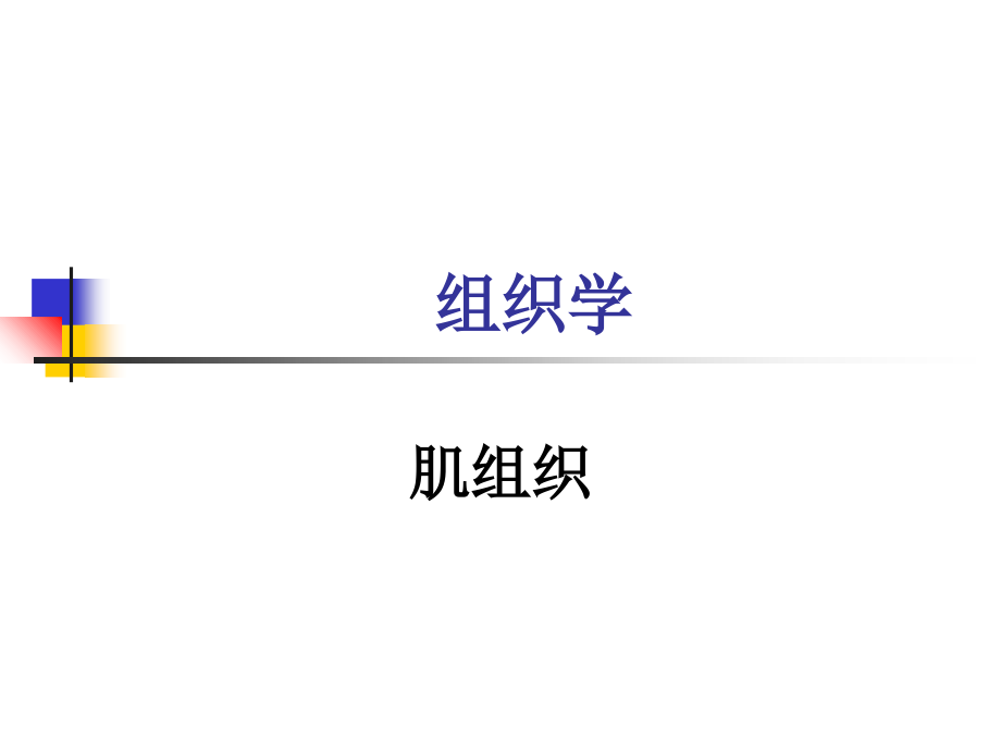 组织胚胎学第7章肌组织课件.ppt_第1页