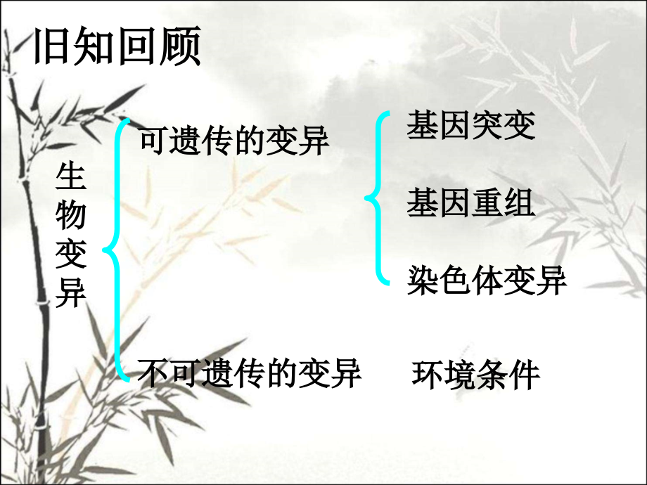 染色体变异(正式版)课件.ppt_第2页