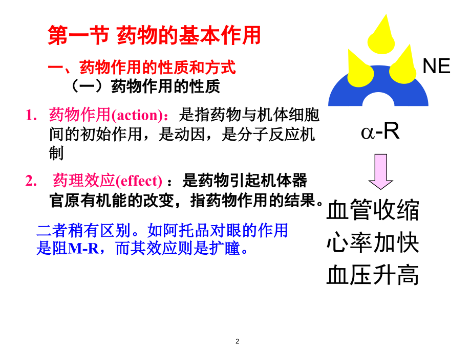 药理学-课件2.ppt_第2页