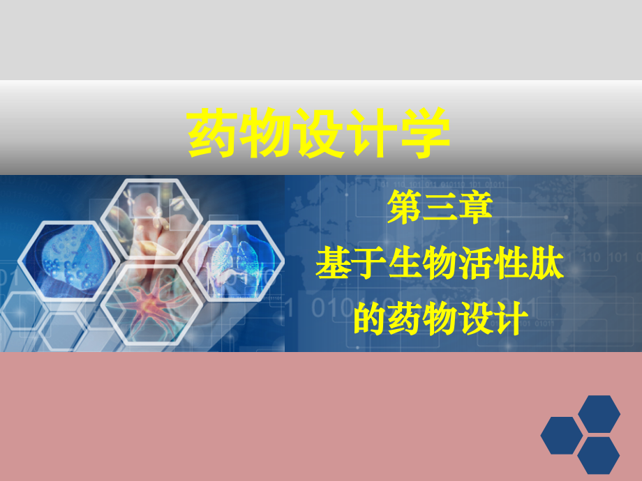 基于生物活性肽的药物设计课件.ppt_第1页