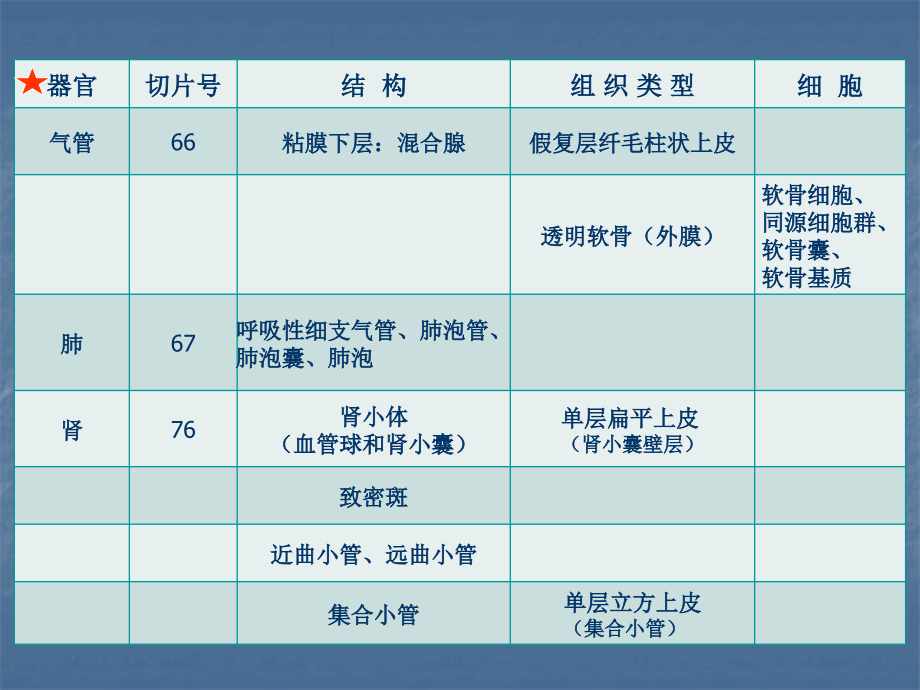 组织胚胎学第六次实习(2010-4-19).ppt_第1页