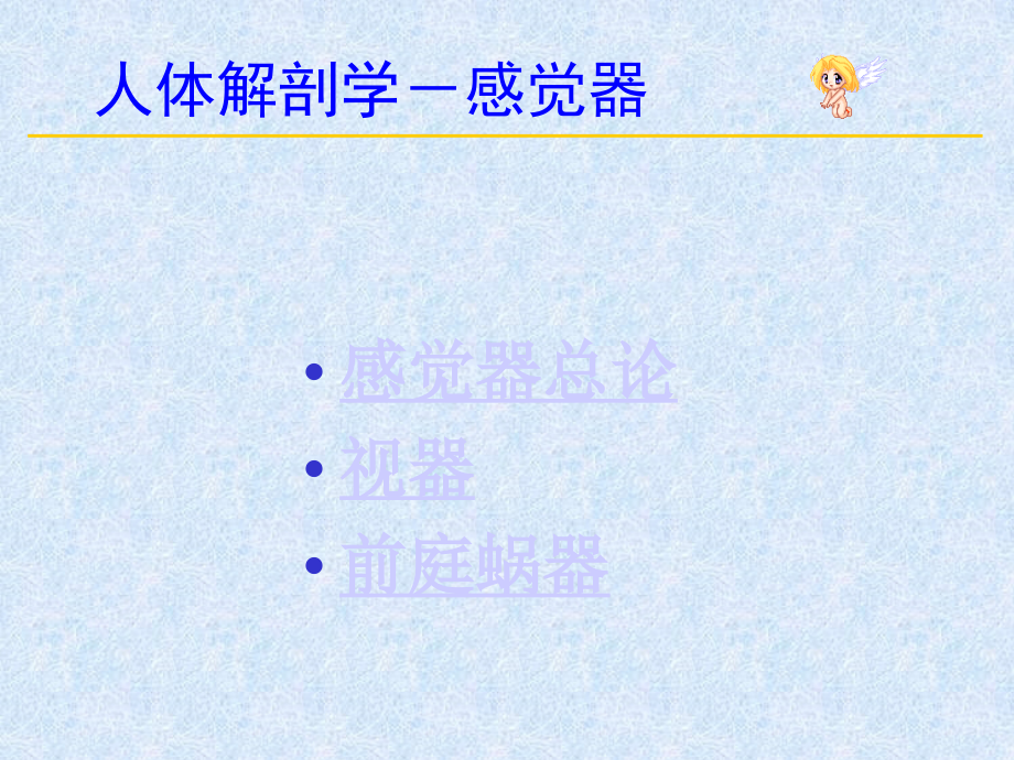 系统解剖学感觉器.ppt_第2页