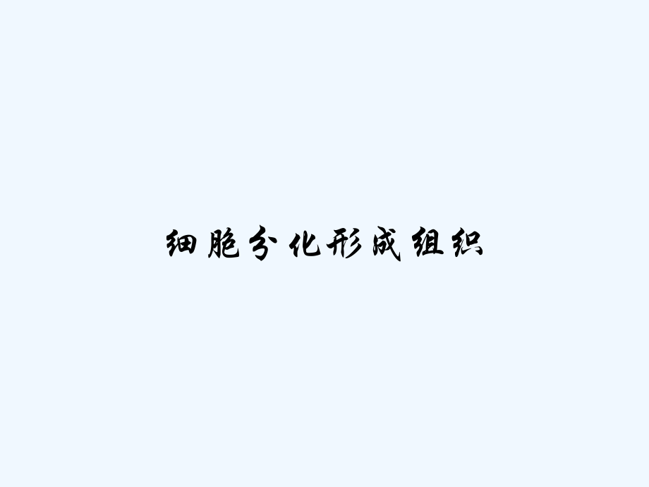 细胞分化形成组织.pptx_第1页