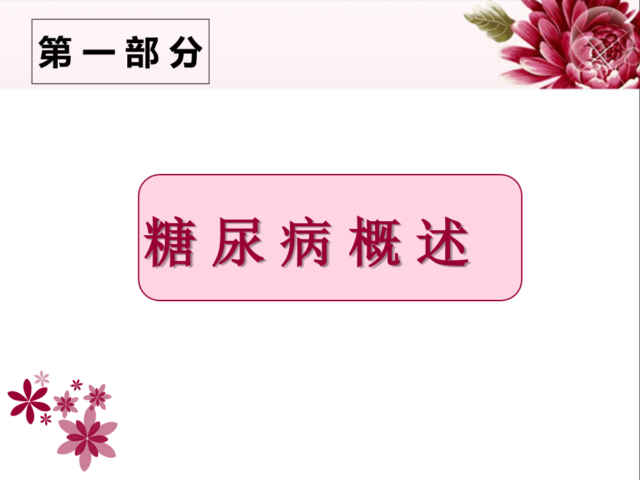 糖尿病患者健康管理--韩杰.ppt_第2页