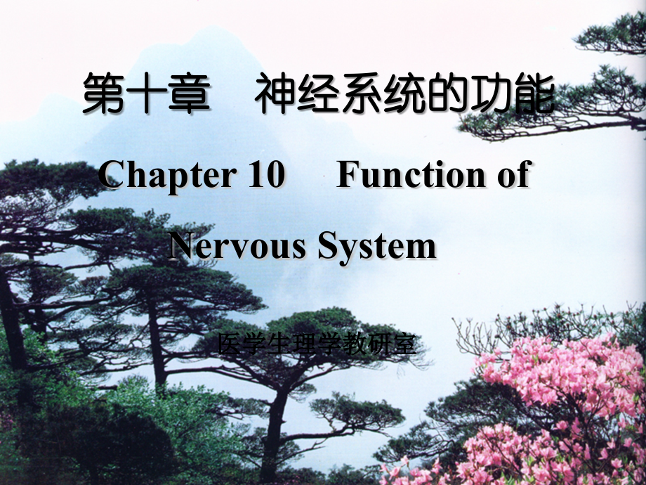 生理学-神经系统的功能.ppt_第1页