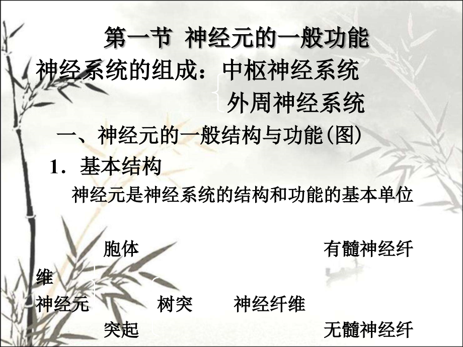生理学-神经系统的功能.ppt_第2页