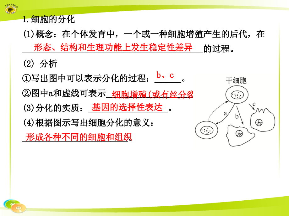 细胞分化、凋亡、衰老、癌变.ppt_第2页