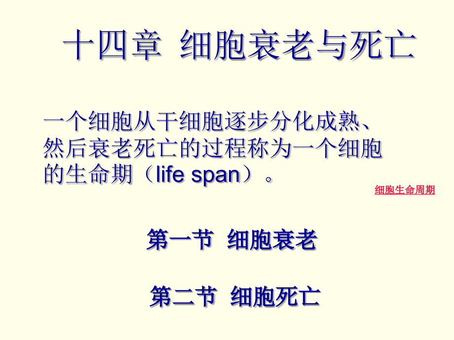细胞衰老与死亡细胞生物学课件314.ppt_第2页
