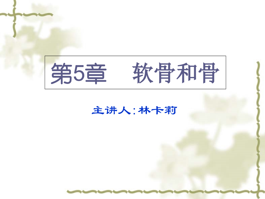 组织学与胚胎学-软骨与骨(本科)课件.ppt_第1页