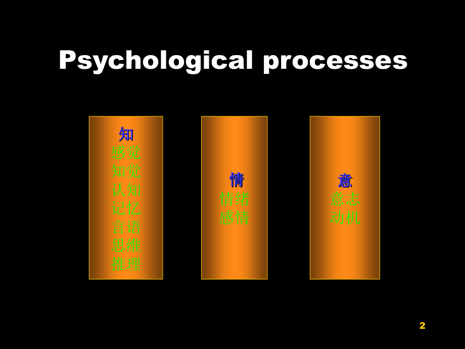 认知功能及其测量课件.ppt_第2页