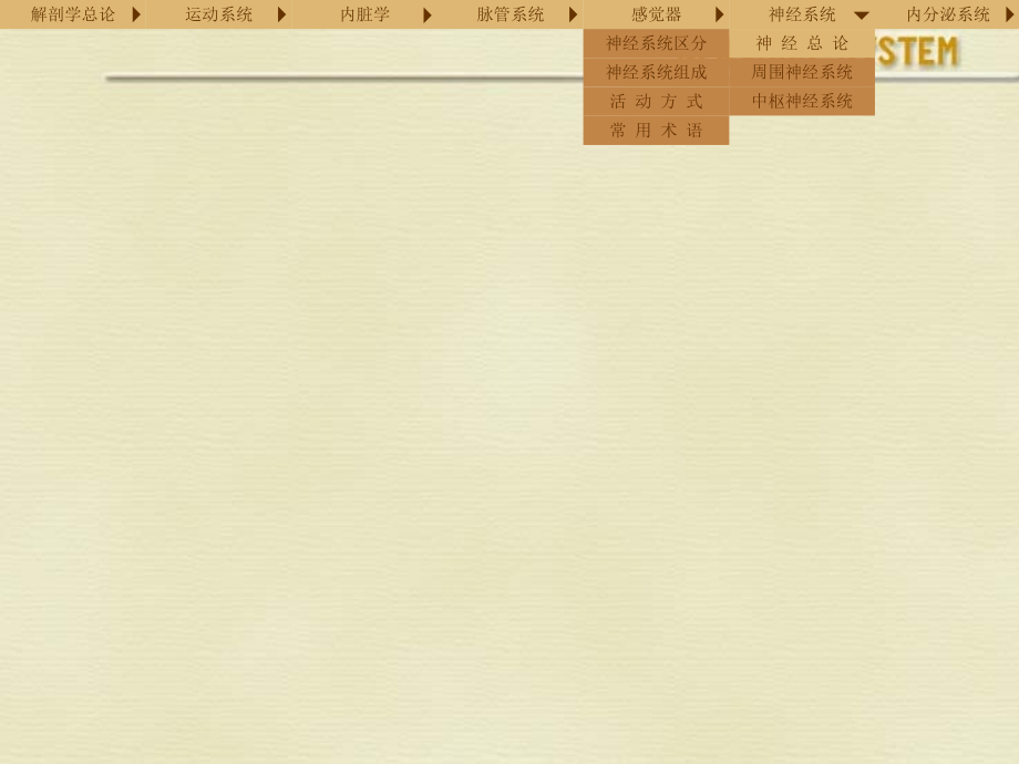 系解神经.ppt_第2页