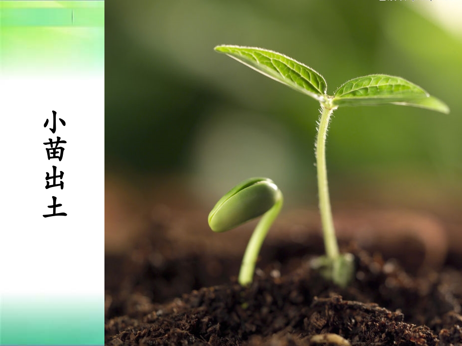 蜡烛的变化教学课件.ppt_第2页