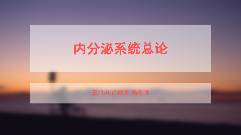 组胚讨论内分泌总论课件.pptx_第1页