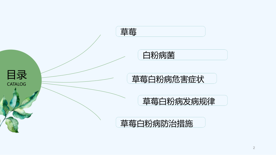 白粉病的防治.pptx_第2页