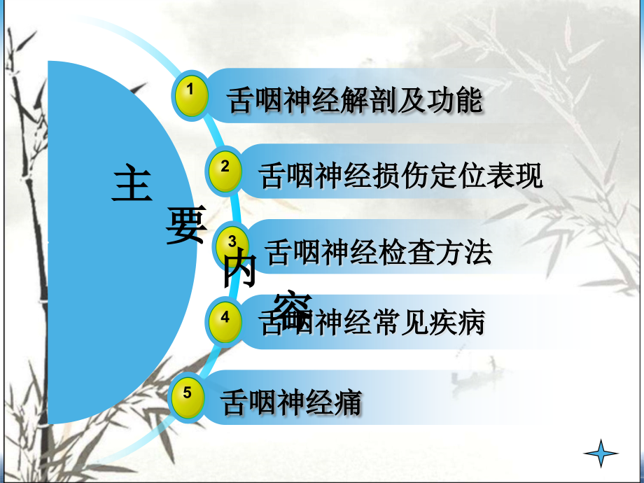 舌咽神经.ppt_第2页