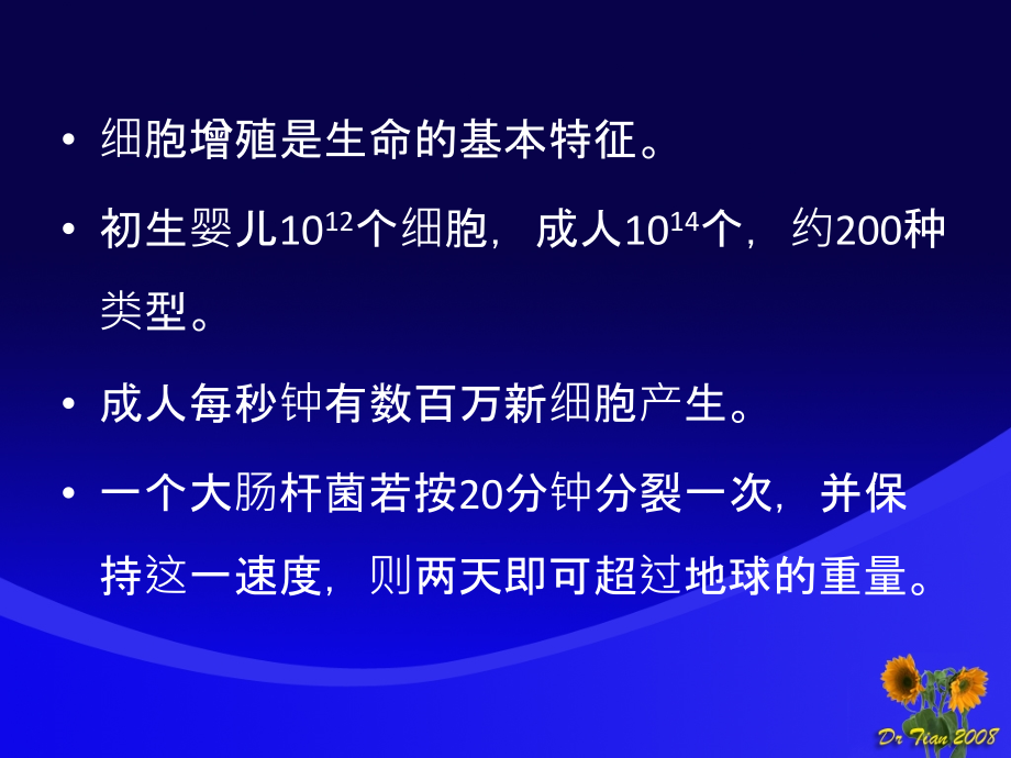 细胞生物学：第十三章细胞周期.ppt_第1页
