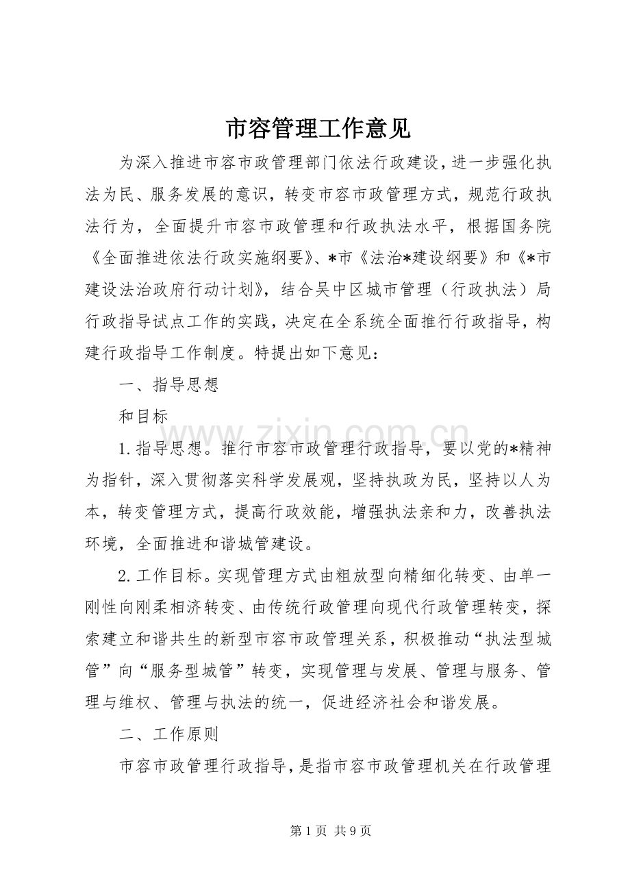 市容管理工作意见.docx_第1页