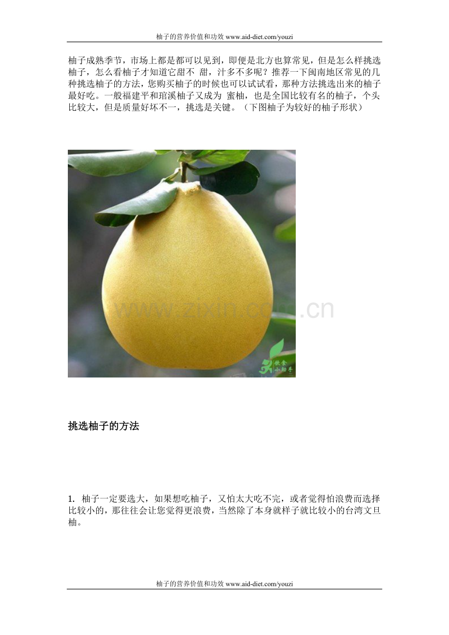怎么挑选一个好柚子.doc_第1页