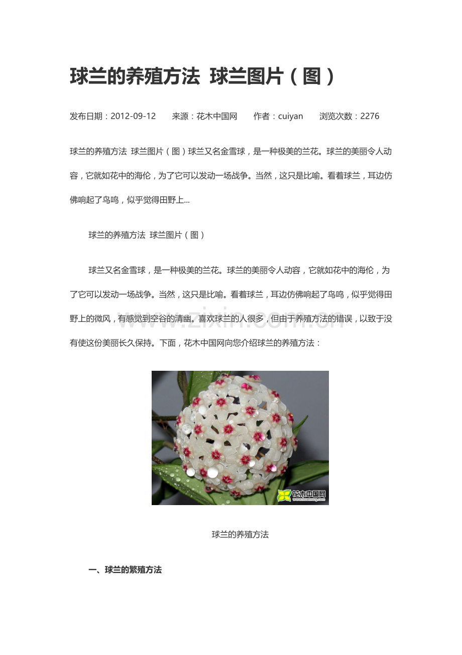美国球兰.油葵的种植.doc_第1页