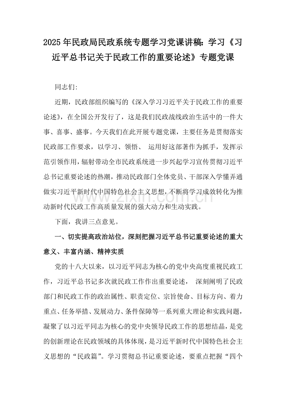 2025年民政局民政系统专题学习党课讲稿：学习《习近平总书记关于民政工作的重要论述》专题党课.docx_第1页